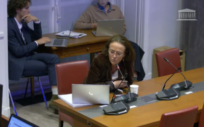 25 sept 24 – Audition de M. Antoine Armand et M. Laurent Saint-Martin à la Commission des finances