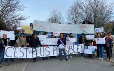Gréve générale du 5 décembre : mon plein soutien aux enseignants