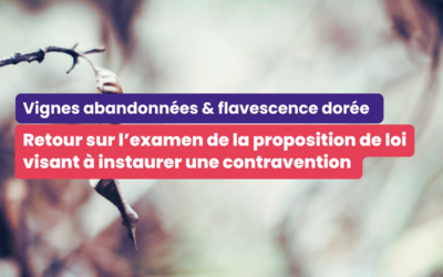 Vignes abandonnées : retour sur l’examen de la proposition de loi visant à instaurer une contravention