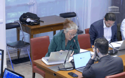 Abroger cette réduction de franchise de TVA pour les micro-entreprises