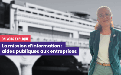 📹 Présentation de la mission d’information d’aides aux entreprises