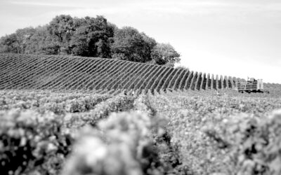 Suicides d’agriculteurs : Pour que cessent ces morts brutales et cette souffrance insupportable