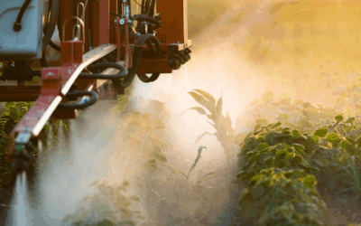 Notre projet : Interdire l’importation de produits agricoles et denrées alimentaires à base d&rsquo;acétamipride