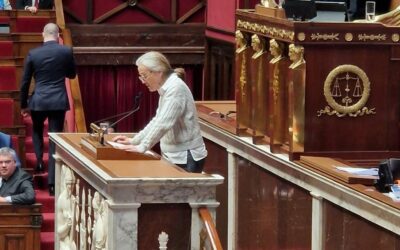 Vote solennel sur la partie Recette du Budget 2026