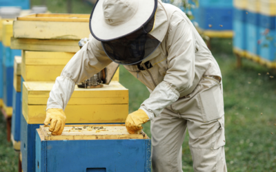 Soutien aux agriculteurs girondins : ouverture du dispositif d’indemnisation après les canicules de l’été 2025