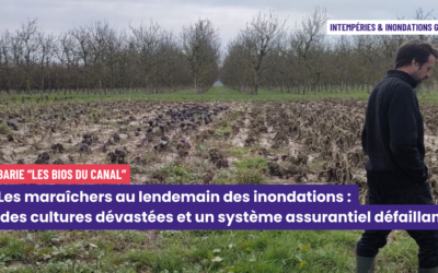 Maraîchage en Gironde : une catastrophe agricole au lendemain des inondations