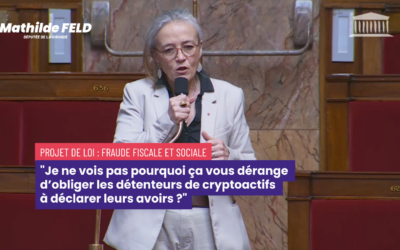 Débat sur le Projet de loi Fraude fiscale et sociale : une séance lunaire