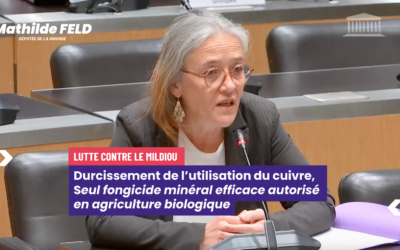 Réglementation du cuivre en viticulture : un durcissement mettant en péril l’agriculture biologique en faveur de fongicides à plus fort soupçons cancérigènes