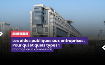 Commission sur les aides publiques aux entreprises : ce que nous souhaitons identifier et quantifier