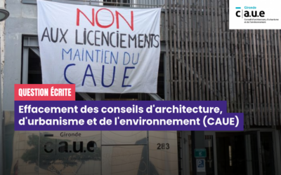 Quelles mesures rapides le Gouvernement entend mettre en place pour endiguer la disparition des CAUE ?