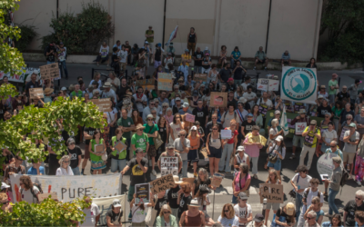 Mobilisation contre le projet Pure Salmon devant la préfecture de la Gironde
