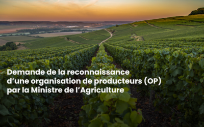 Demande de la reconnaissance d’une organisation de producteurs par la Ministre de l’Agriculture