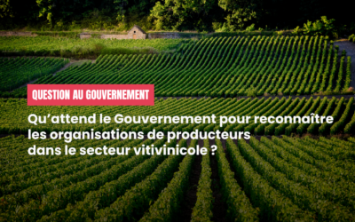 Reconnaissance des organisations de producteurs dans le secteur vitivinicole